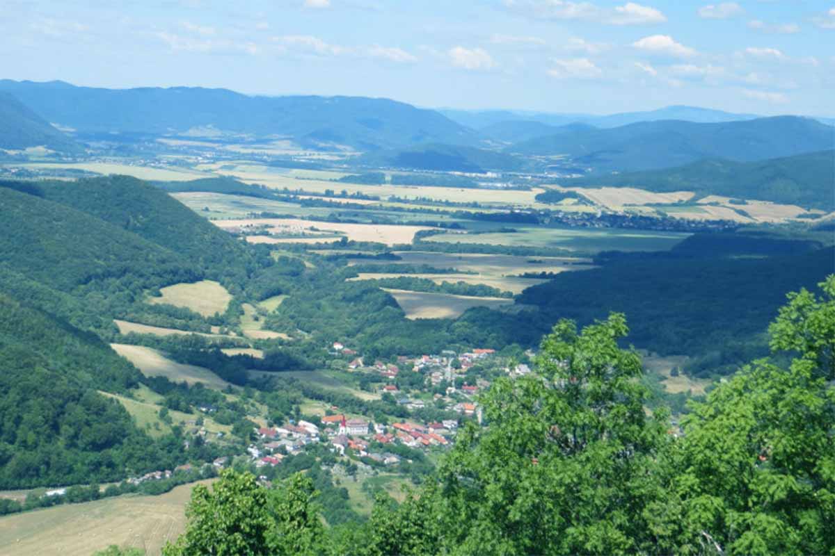 drienovec